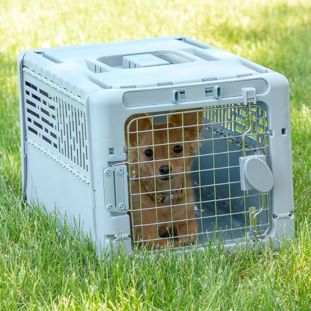 SportPet Designs Plastic Kennels Rolling Plastic Airline Approved Wire Door Travel Dog Crate, XXX-Large, Gray