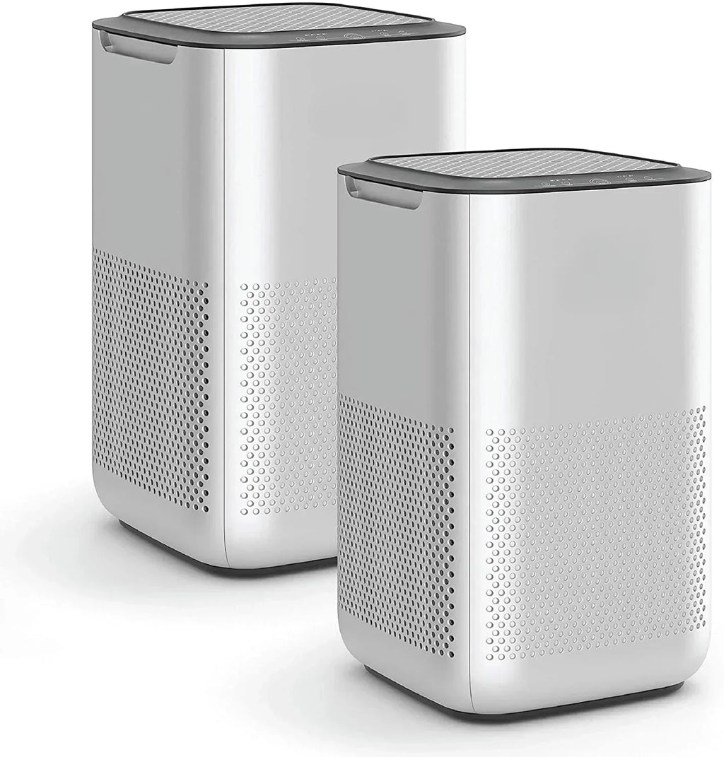 Air Purifier with H13 True HEPA Filter