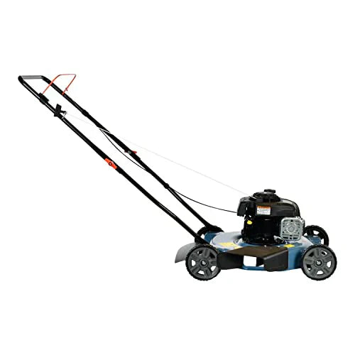 Gas Lawn Mower, 20-Inch, 125 cc 4-Cycle Briggs & Stratton Engine, Push Lawnmower