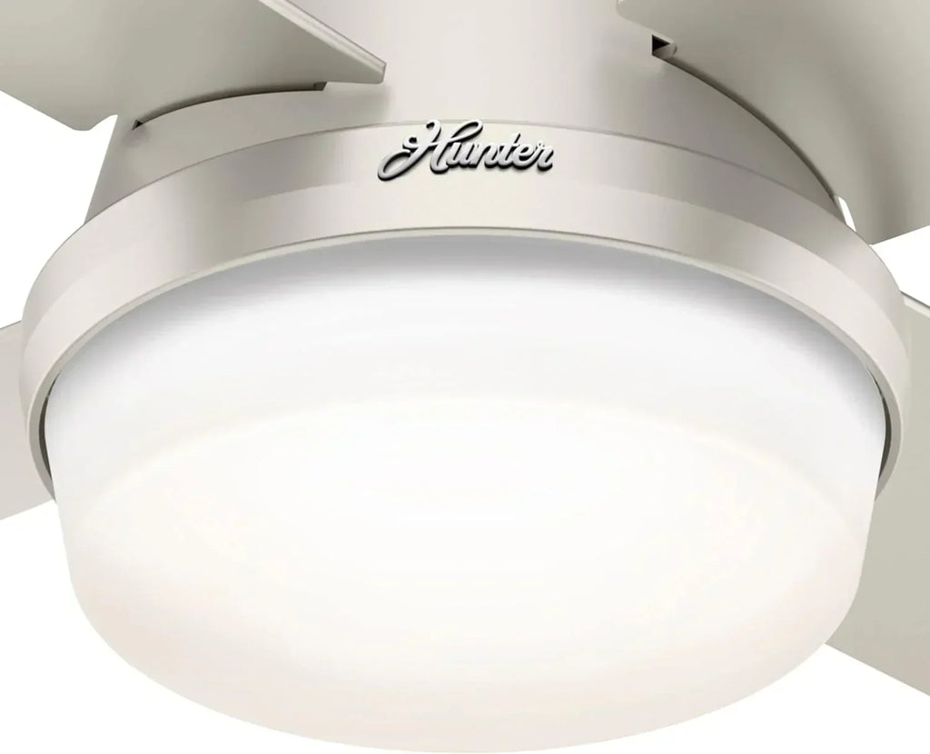 Hunter Fan Company Dempsey Low Profile Indoor / Outdoor Ceiling Fan with LED Light and Remote Control, 44", Matte Nickel