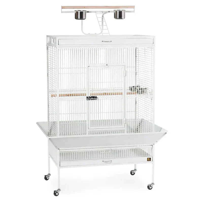 Wrought Iron Select Bird Cage 3154C, Chalk White, 36-Inch by 24-Inch by 66-Inch